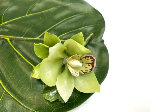 green orchid boutonniere-corsage