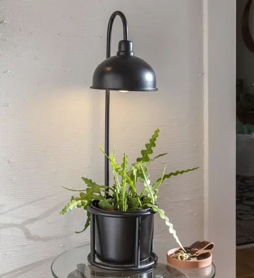 Plant Stand with Grow Light
