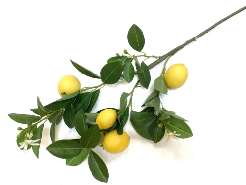 large lemon stem with lemons