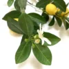 Faux Lemon Stem with Flowers