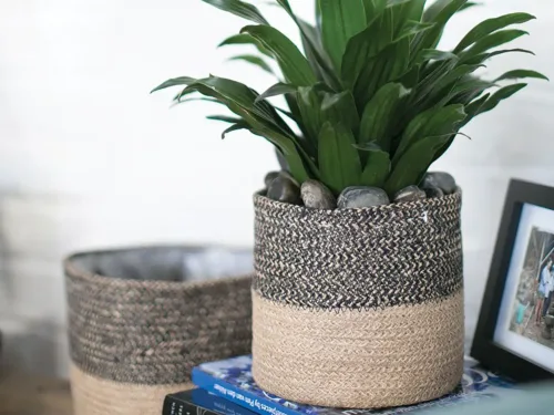lined plant basket