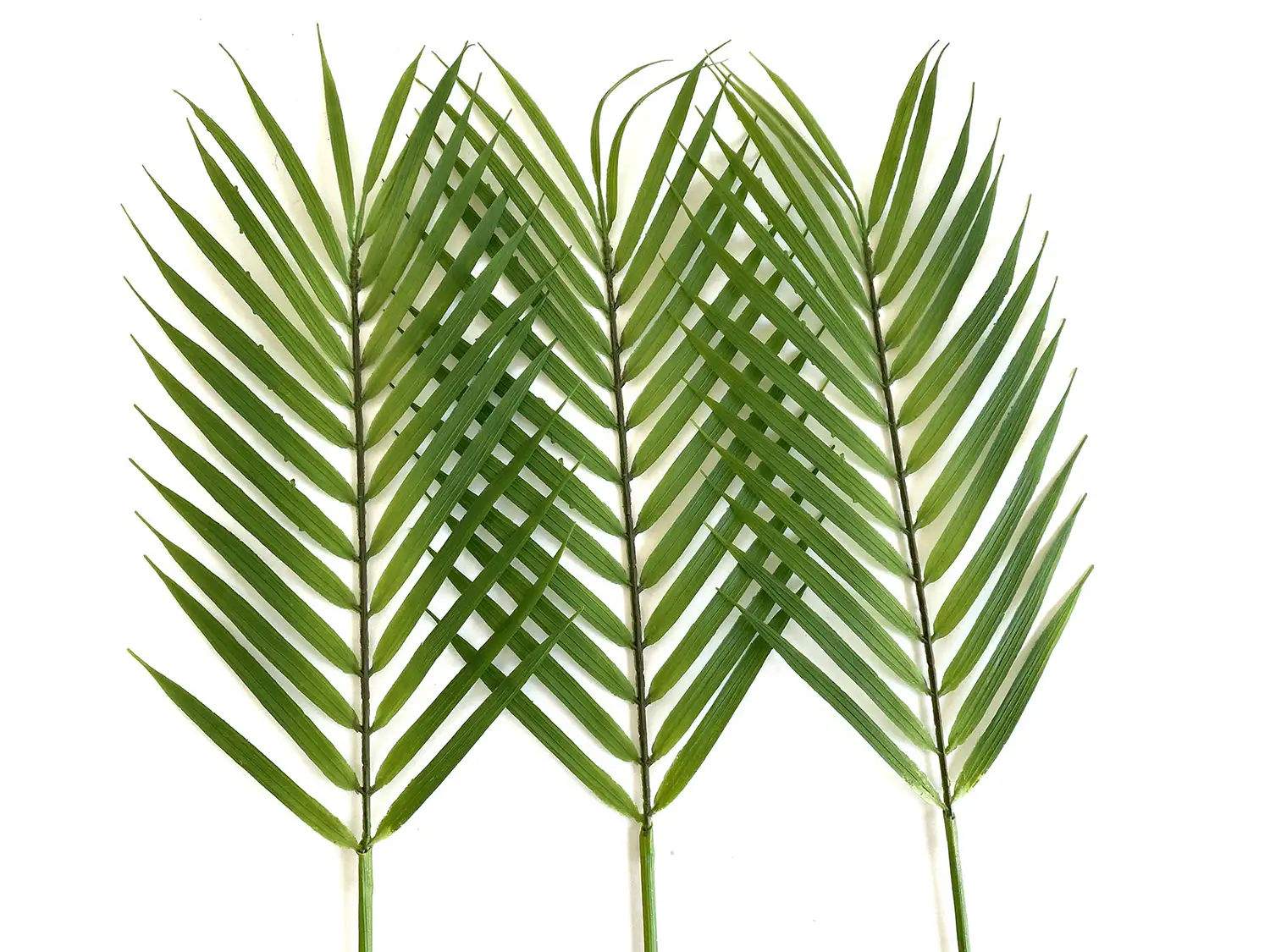 Three Faux Palm Stems Floral Home and Holiday