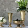 Gold Flute and Compote collection