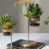 Small Plant Stand with Magnifying Glass