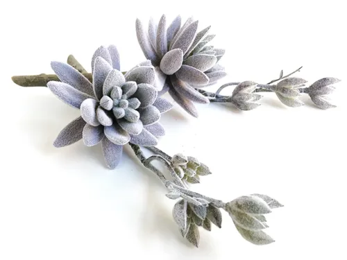 Faux Gray Aeonium Succulent