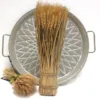 Wheat Grass Bundle