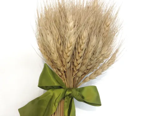 tied wheat bundle
