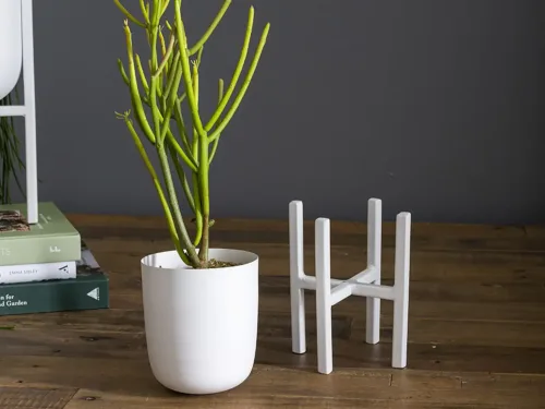white indoor plant stand