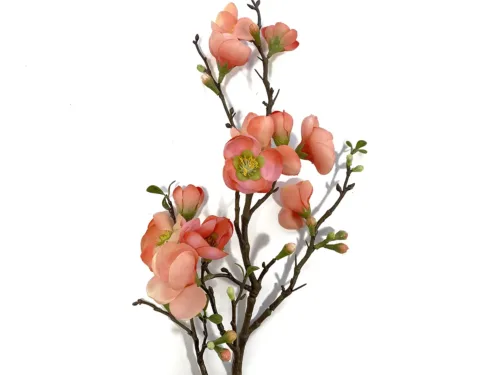 Faux Blooming Quince