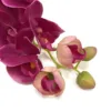 Faux Magenta Phalaenopsis