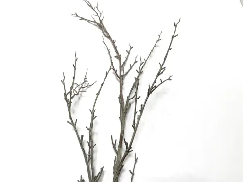 Faux Bleached Wood Branch