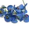 Faux Phalaenopsis Orchid Blue