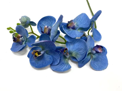 Faux Phalaenopsis Orchid Blue