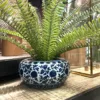 Chinoiserie Planter with Fern