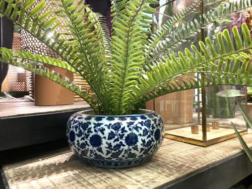 Chinoiserie Planter with Fern