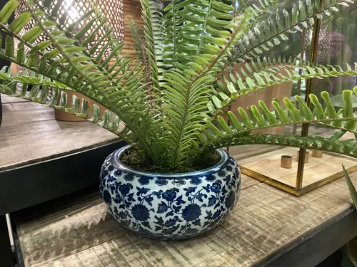 chinoiserie vase with fern