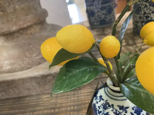 chinoiserie vase with lemon branch