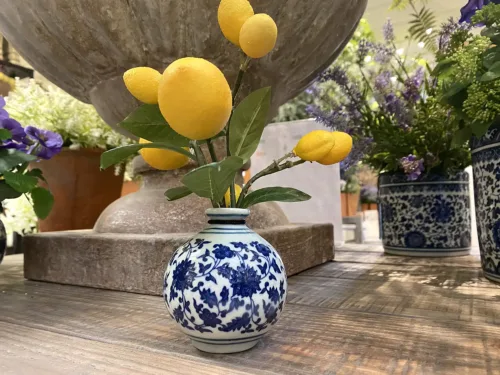chinoiserie vase with plant