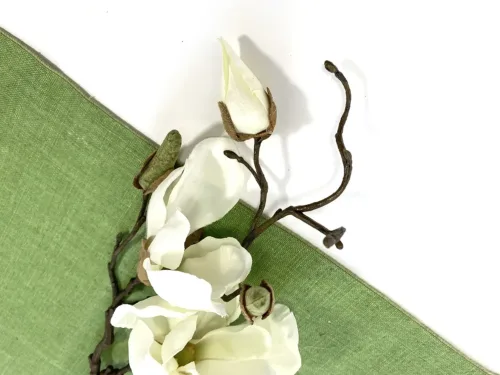 cream magnolia branch
