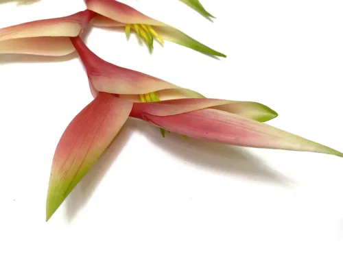 faux heliconia flower