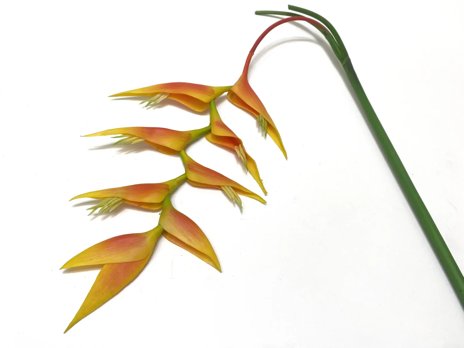 faux heliconia yellow