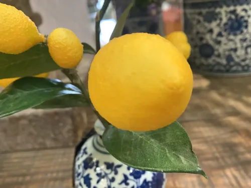 faux lemon in chinoiserie vase