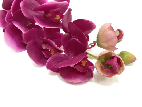 faux phalaenopsis flowers