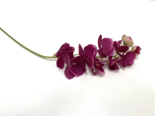 faux magenta phalaenopsis orchid