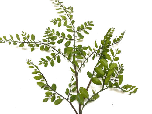 Faux Branch Sophora Japonica