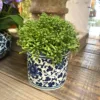 Small Chinoiserie Vase with Faux Greenery