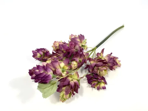 purple hops stem