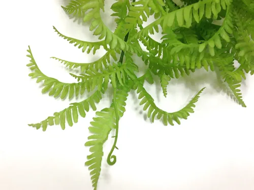 small faux fern