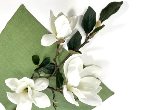 tall magnolia stem