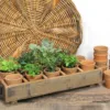 Terra Cotta Herb Planter Box