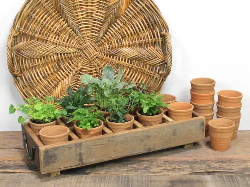 Terra Cotta Herb Planter Box