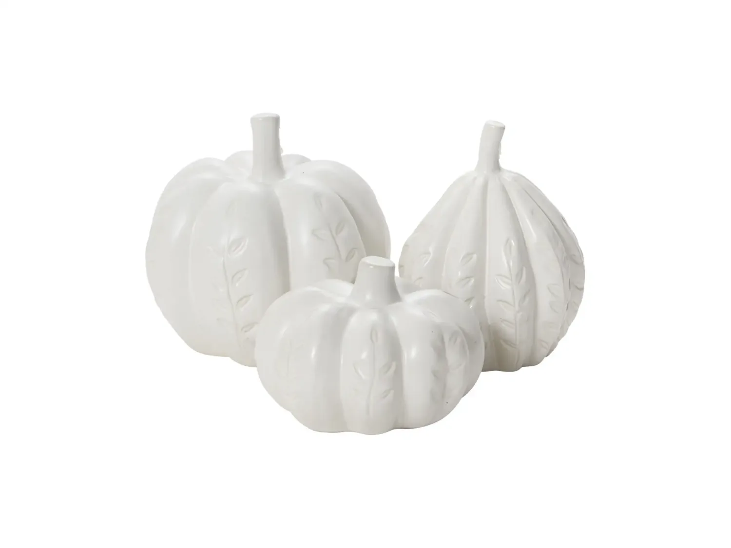 small white pumpkin trio