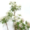 44" Apple Blossom Branch