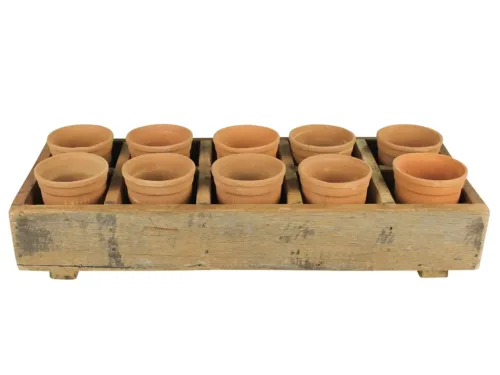 wood tray with plant pots