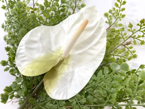 faux white anthurium