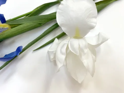 faux white iris