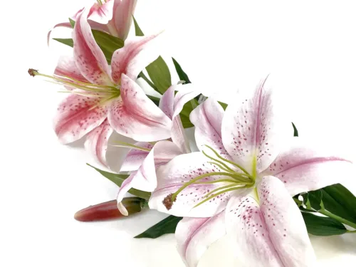 faux lilies